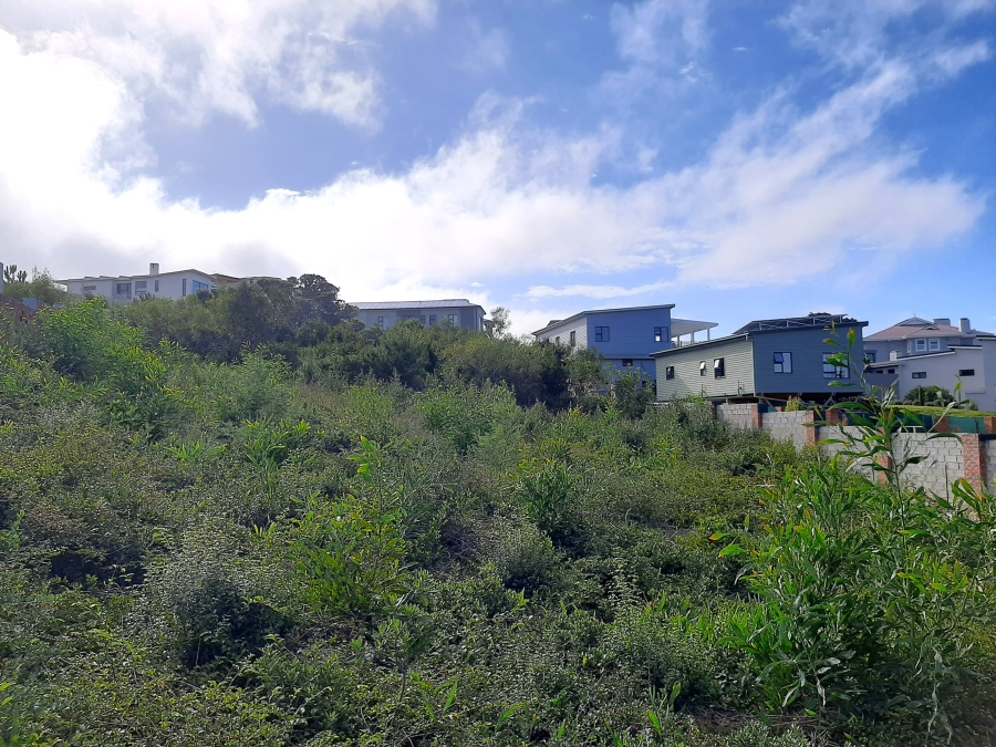 0 Bedroom Property for Sale in Whale Rock Western Cape